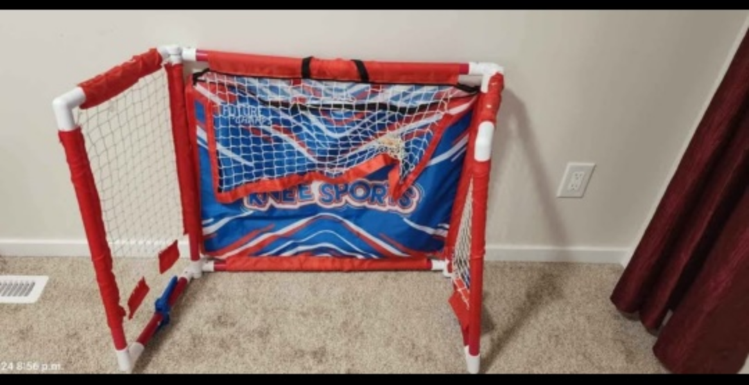 Kids Hockey Net & Regent Ball
