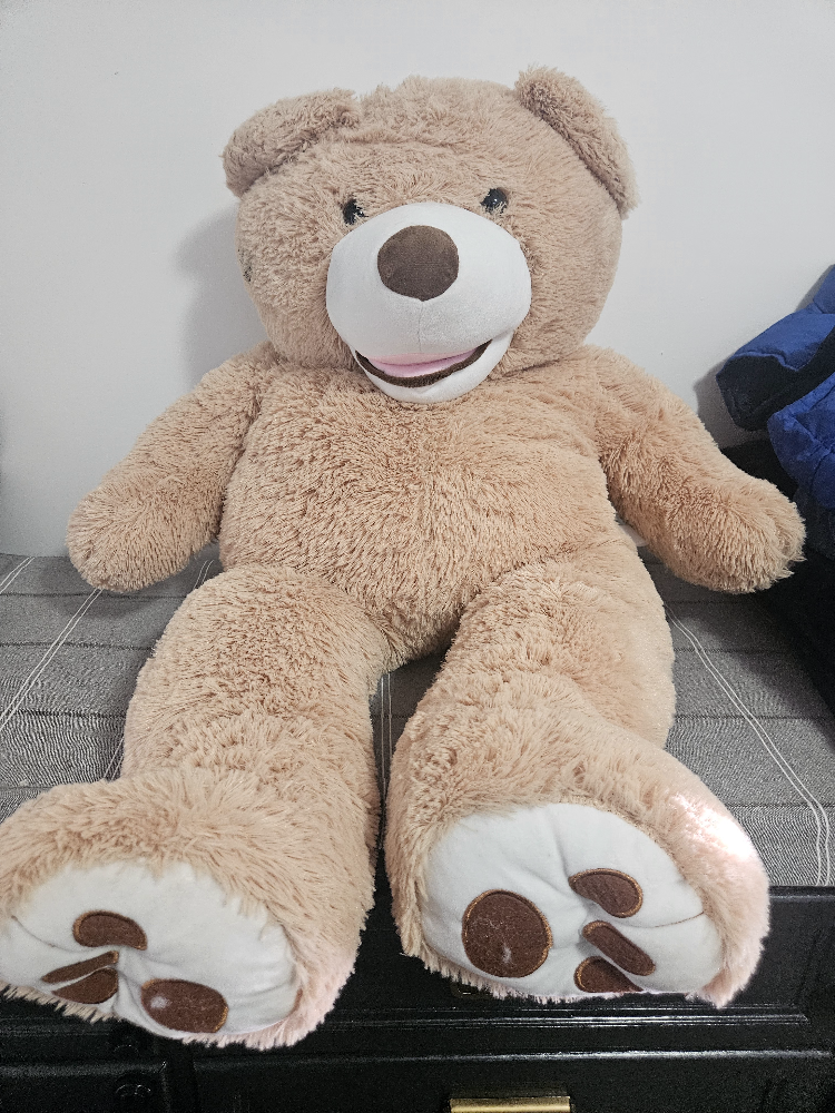 Huge Plush Teddy Bear