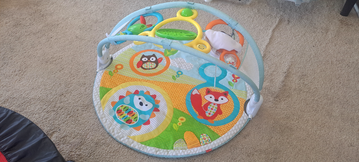 Baby Playmat and Activity Gym