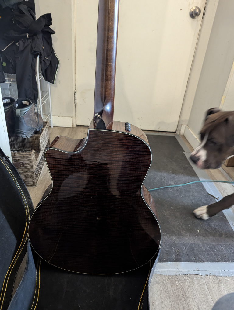 Taylor Guitars 12-String Acoustic Guitar - photo 3