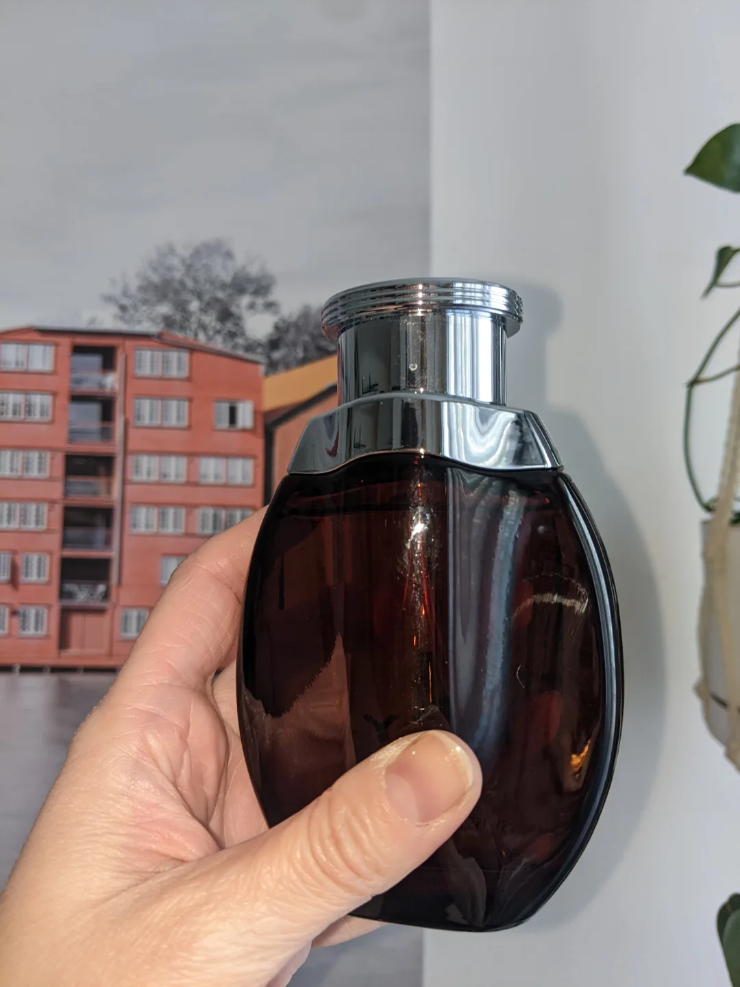 Kenzy Swiss Arabian Perfume Fragrance image indicator(3)