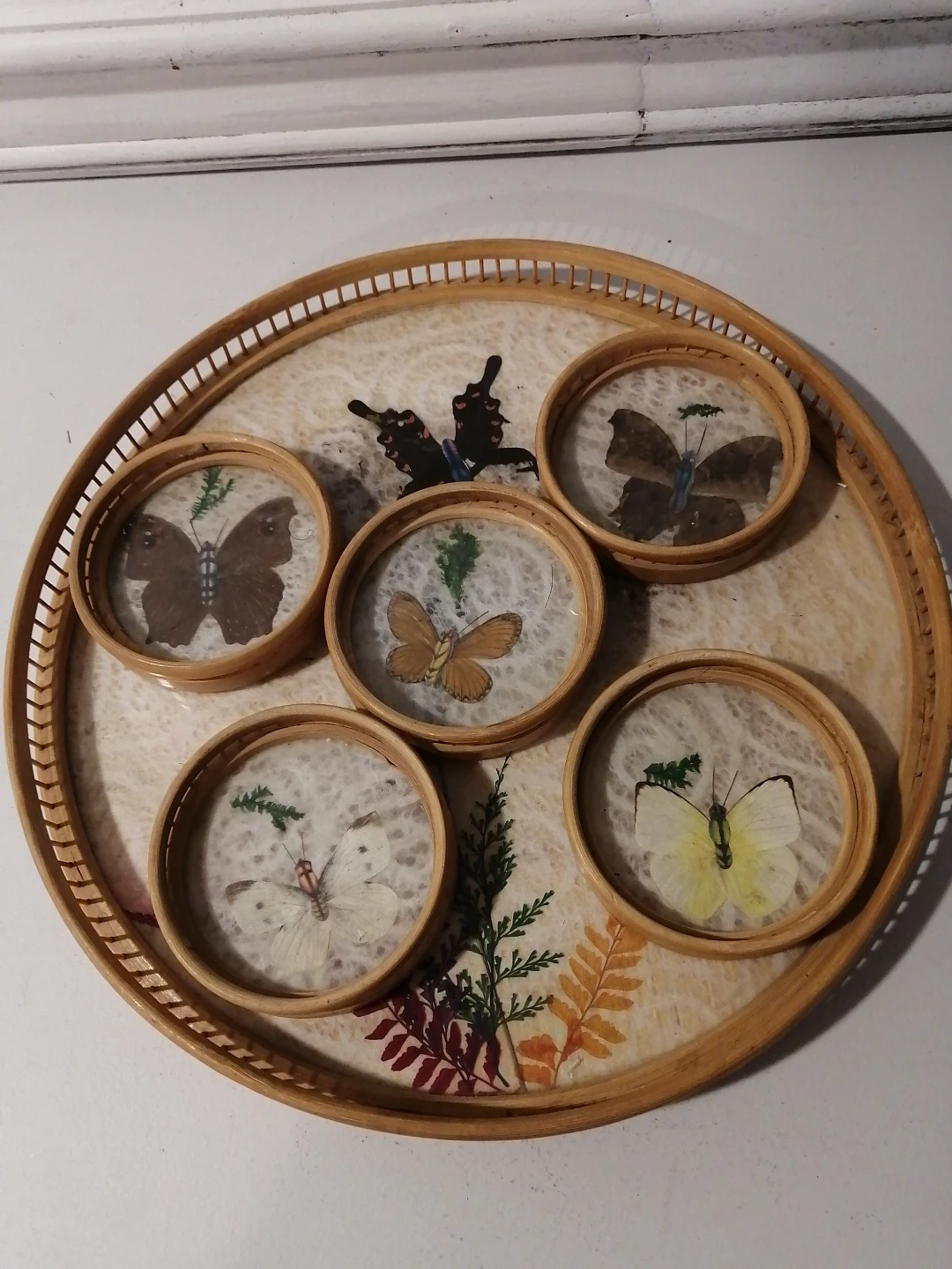 Vintage Butterfly Coaster Set with Rattan Tray