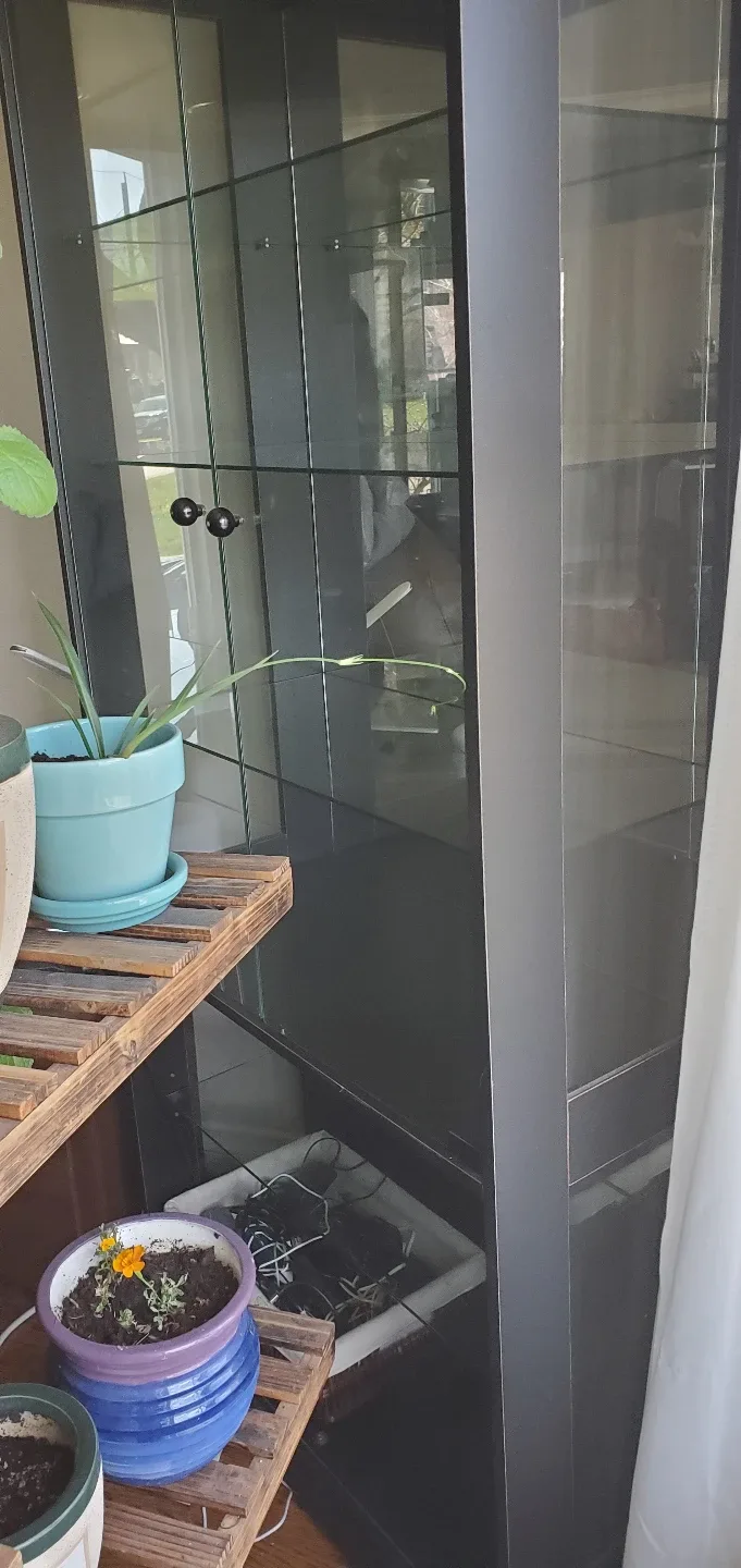 large black Cabinet with Glass Shelves (2 available) image indicator(3)