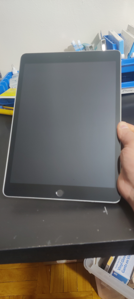 ipad 9 gen  256 Gb