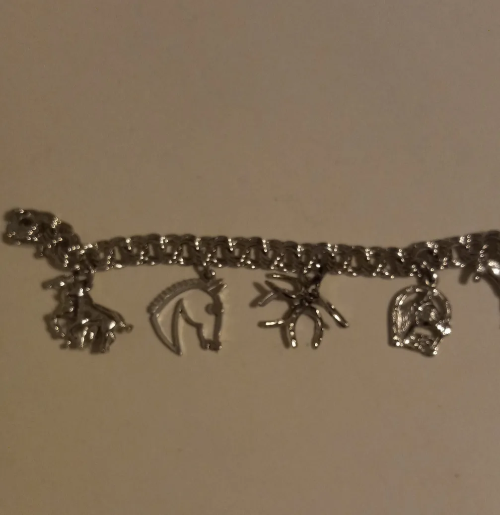 Sterling silver horse themed charm bracelet image indicator(2)