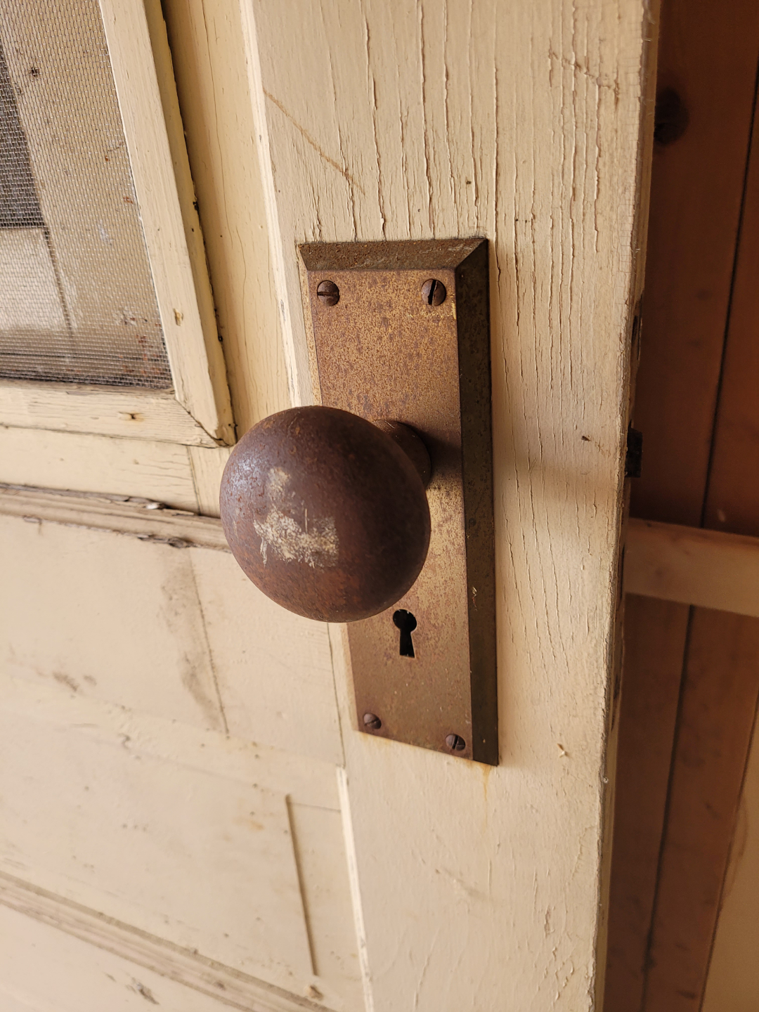 Antique screen door 32" x 80" - photo 4