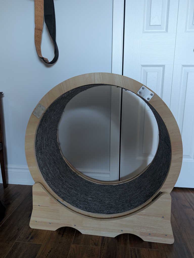 Cat Exercise Wheel