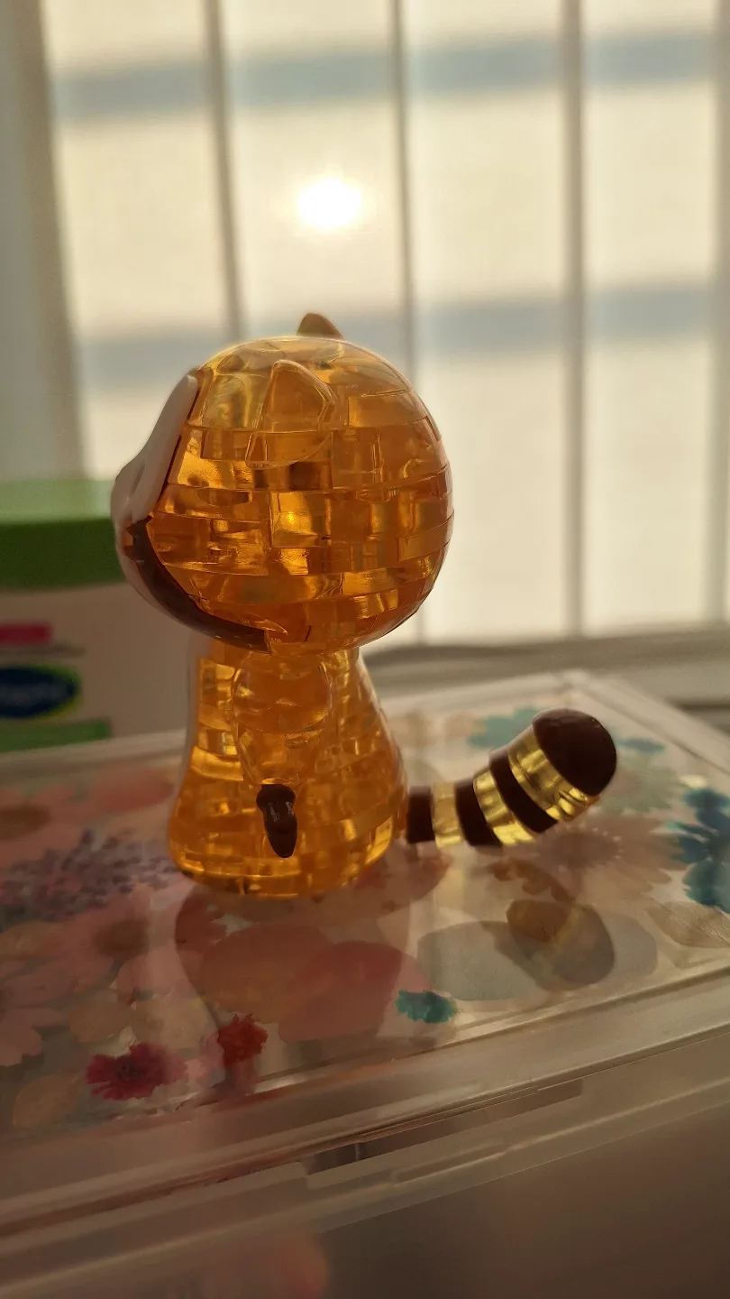 Adorable Raccoon 3D Puzzle image indicator(2)