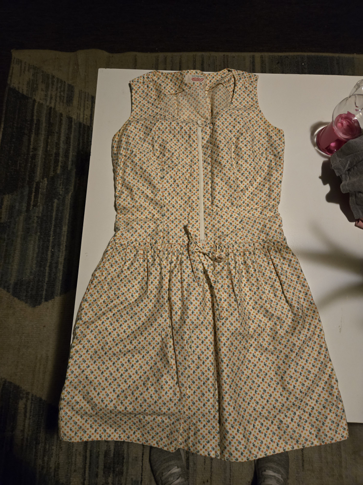 Vintage Sleeveless Dirndl Dress