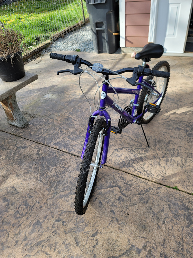 Next Trailblazer 24" Purple Girls' Bike