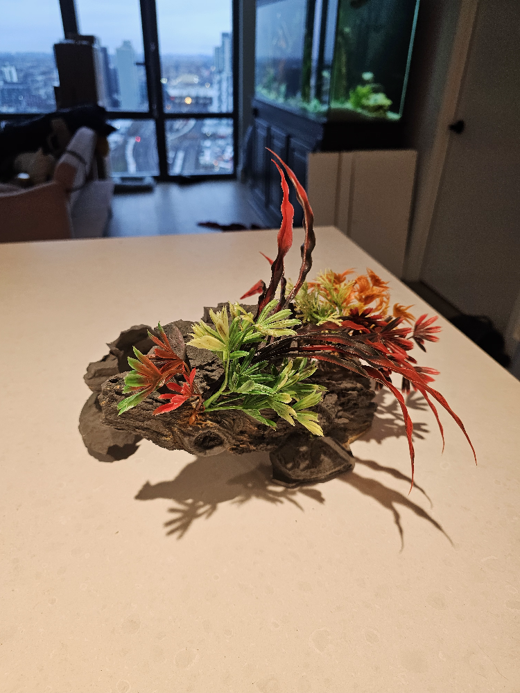 Aquarium Decorations - photo 4