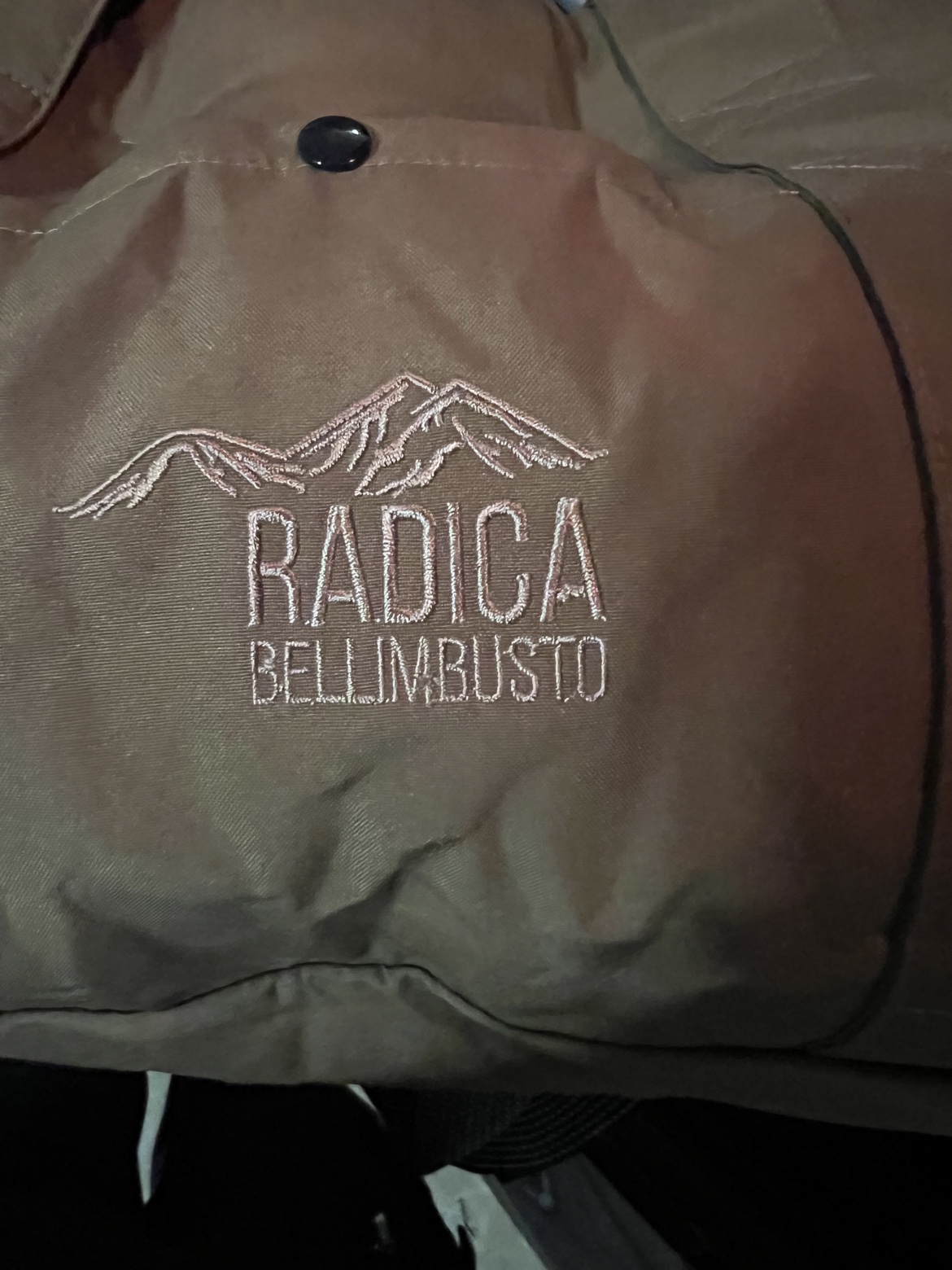 Radica Bellimbusto Pet Car Seat Bed - new with tags - photo 5