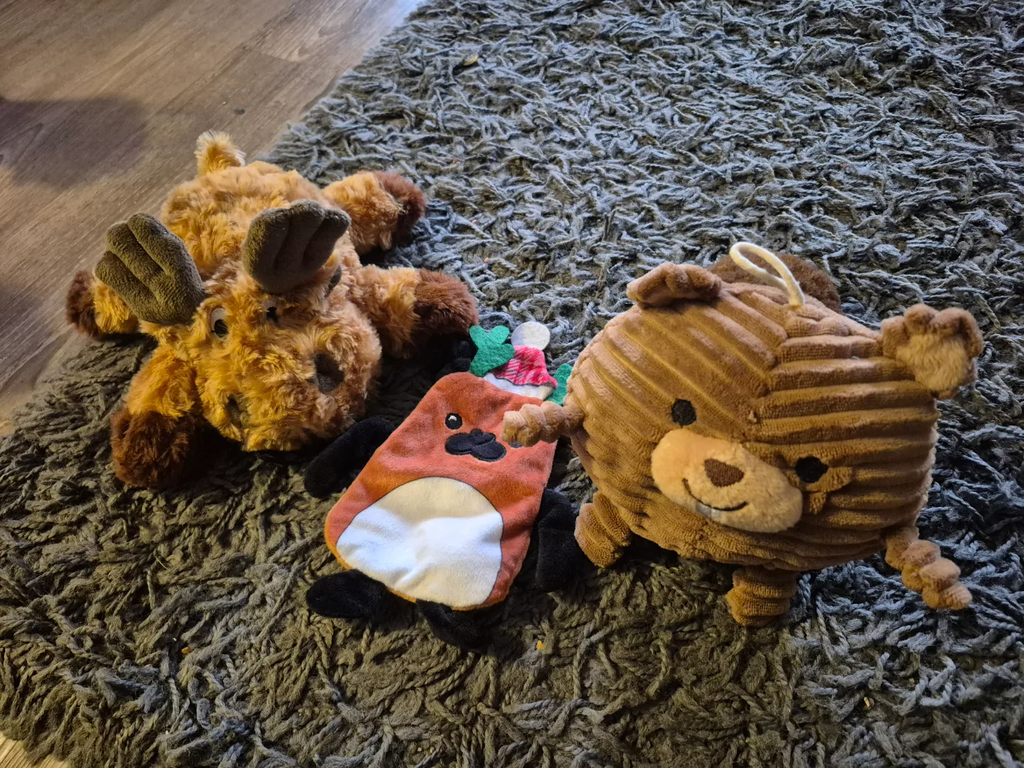 Dog Toys - Bundle of 4!