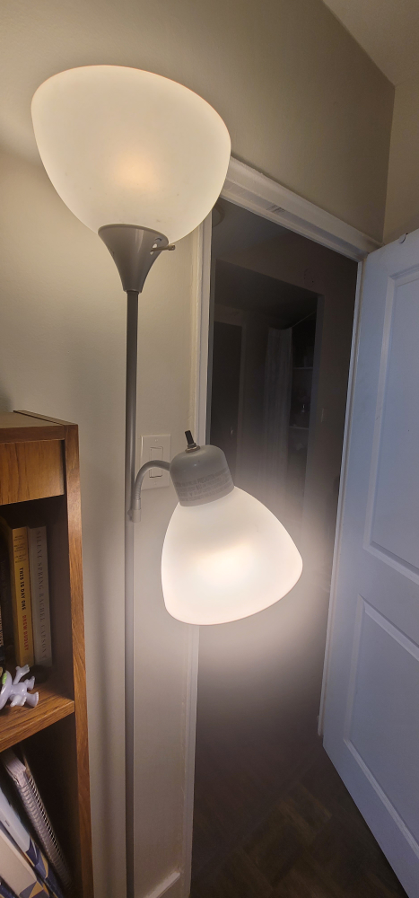 Dual-Light Floor Lamp - photo 2