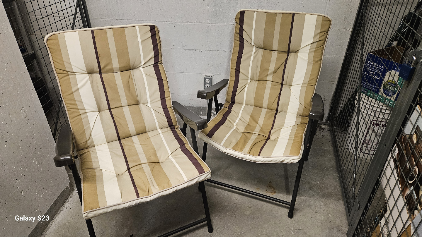 Pair of Folding Patio Chairs with Cushions