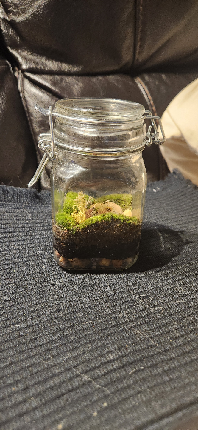 Miniature Terrarium in Glass Jar