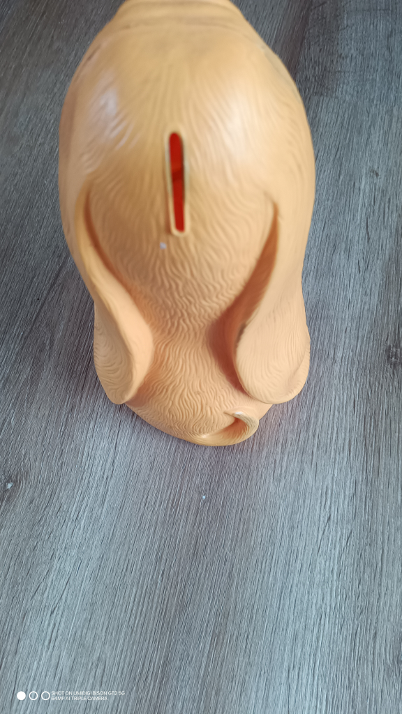 Vintage Sad Basset HoundPiggy Bank - photo 2