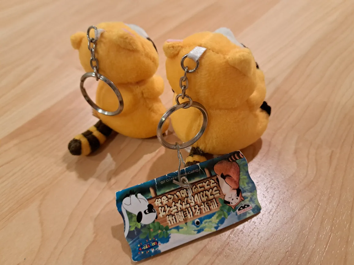 Adorable Raccoon Keychain Set image indicator(3)