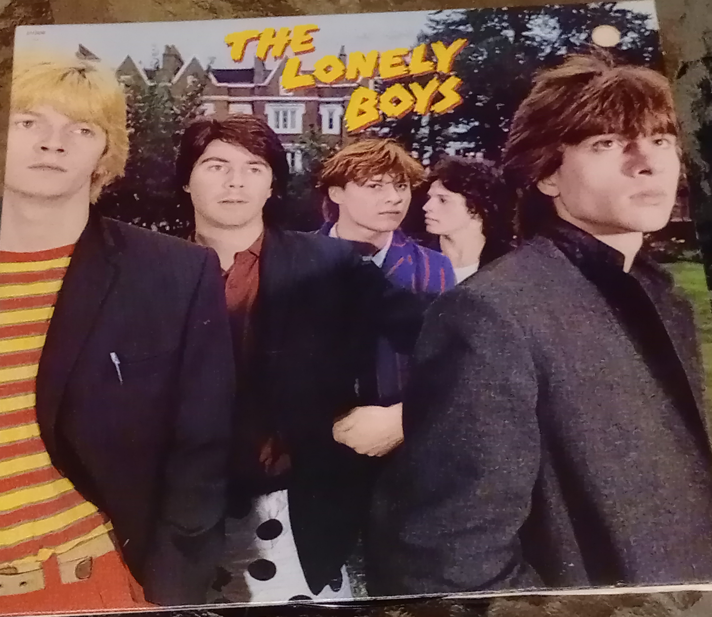 The Lonely Boys Vinyl Record