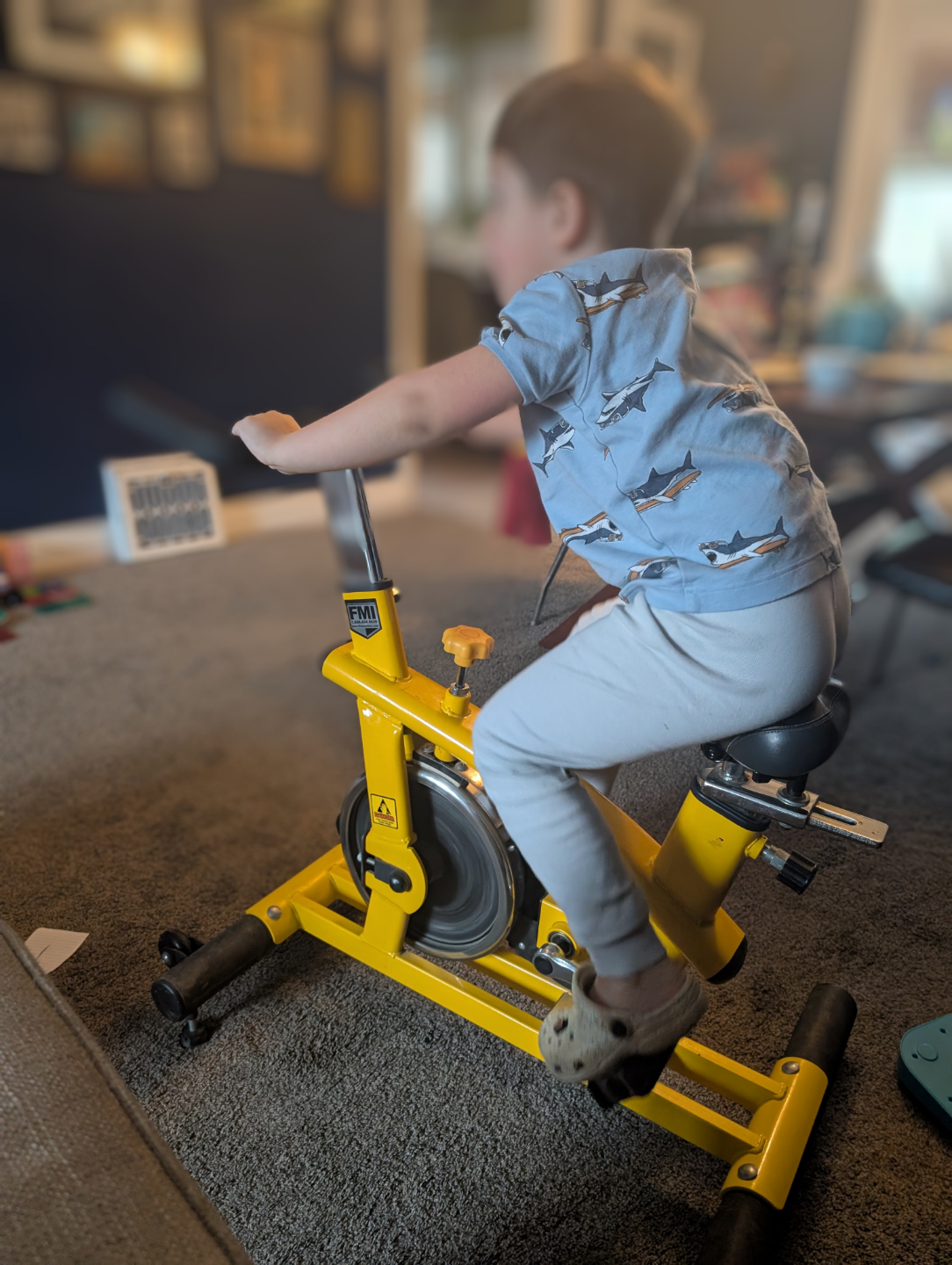 fitnex X5 kids stationary bike