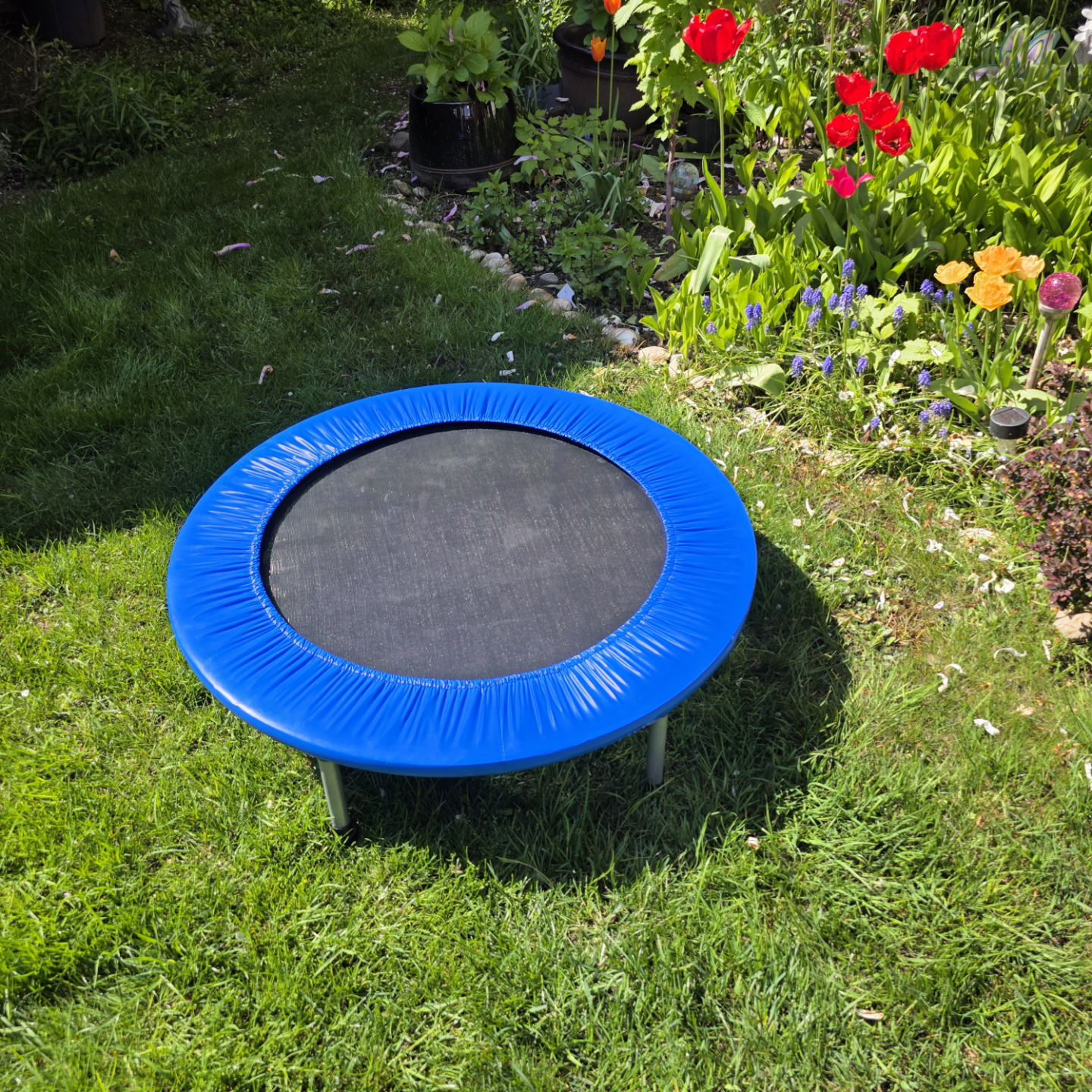 kid's trampoline