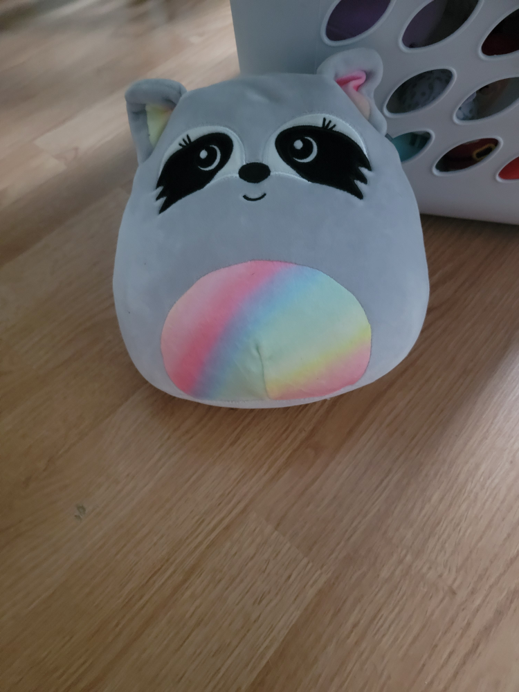 Rainbow Belly Raccoon Squishmallow