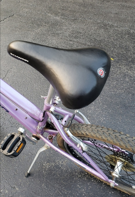 Schwinn Traverse $45 - photo 2