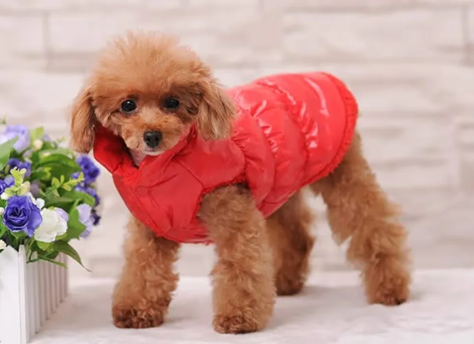 Pink Dog Puffer Vest - Size XXL image indicator(5)