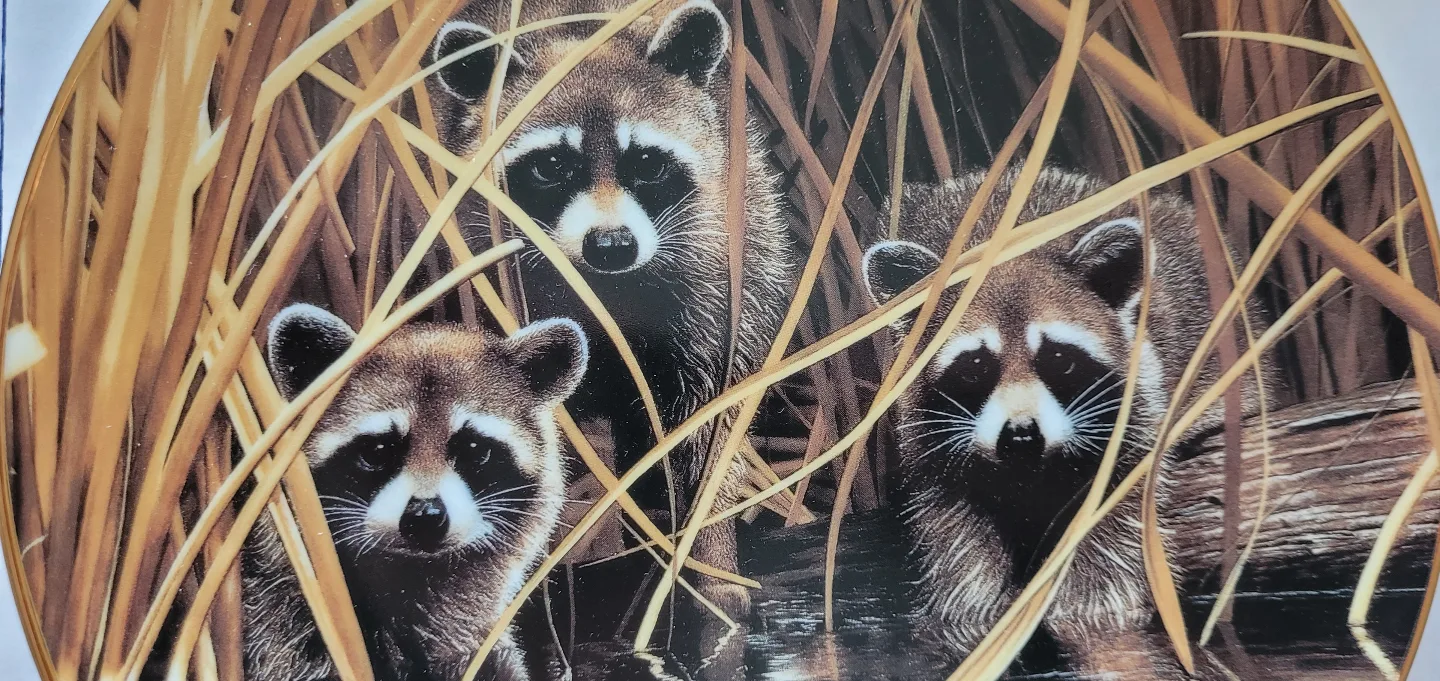 Cat and Racoon Collector Plates image indicator(5)