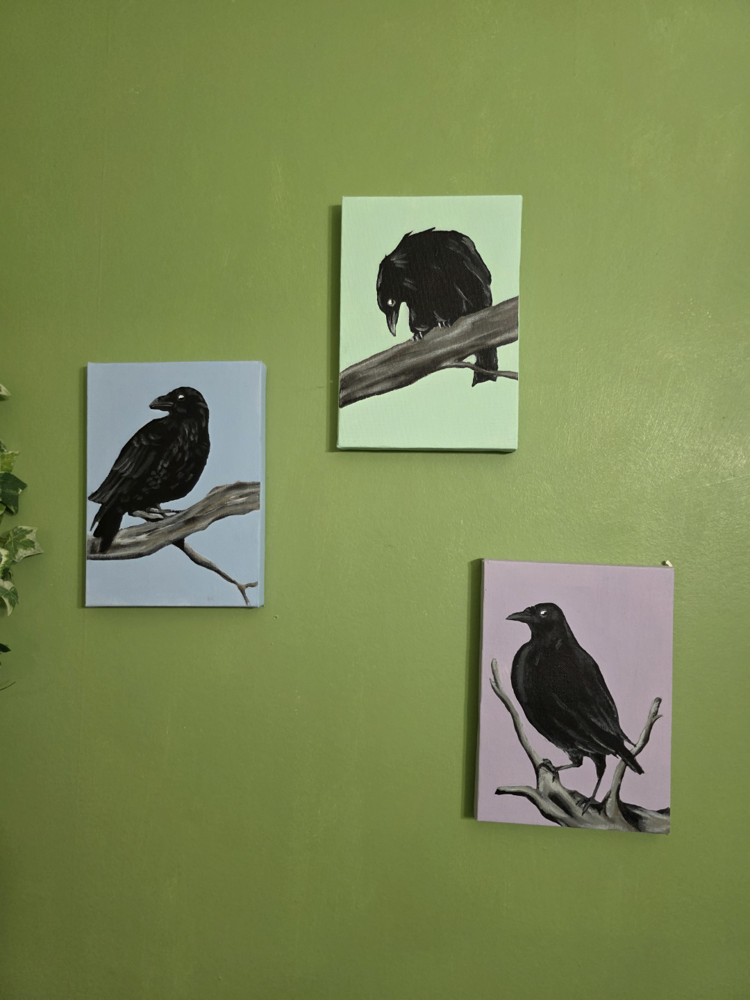 Set of three crow paintings