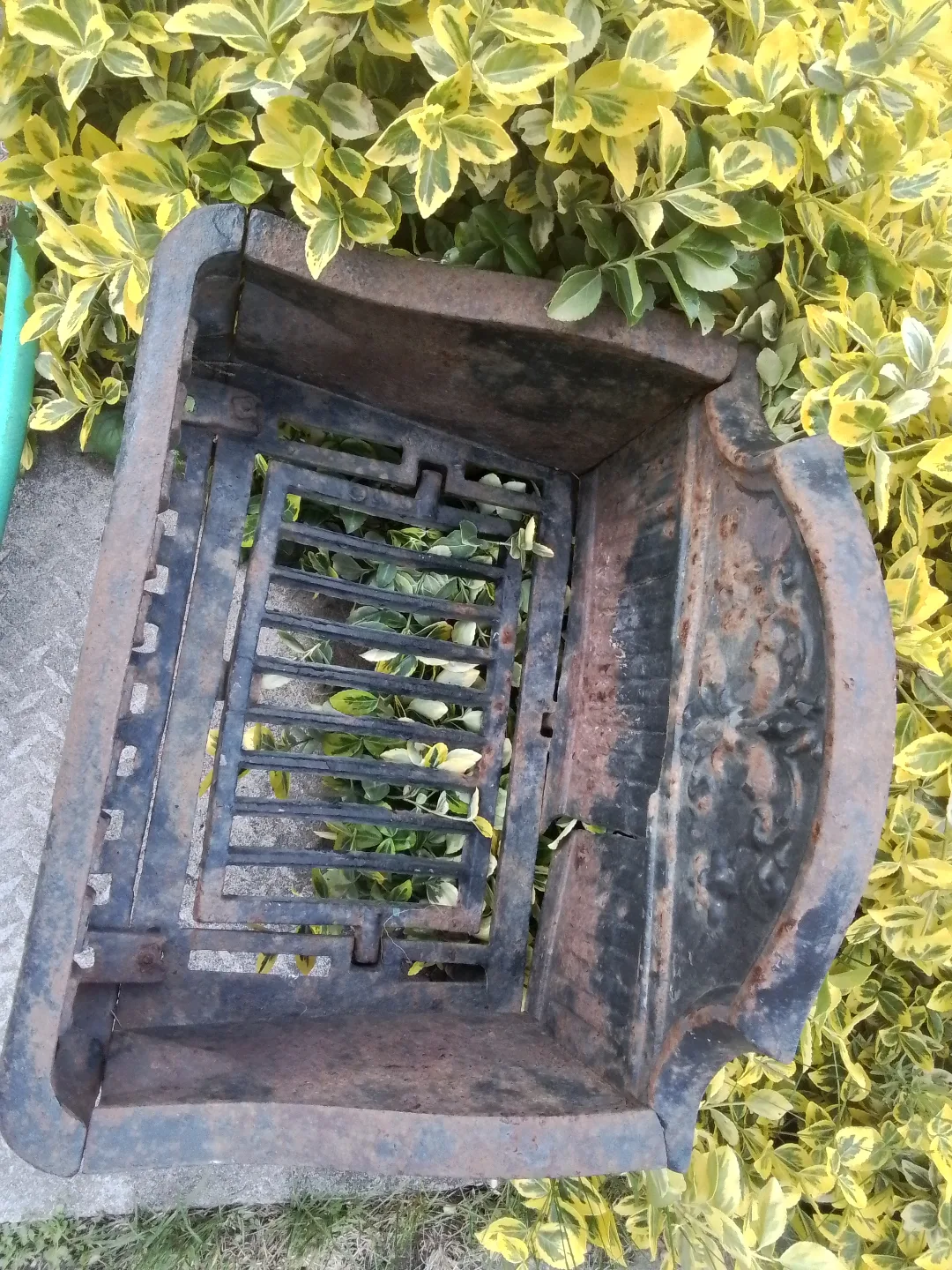 Antique Cast Iron Fireplace Grate/Flowers Pot image indicator(6)