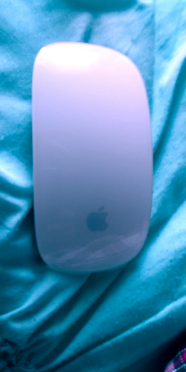 Apple Wireless Mouse