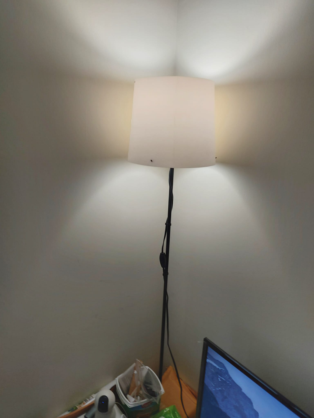 Black Floor Lamp with Two Lights