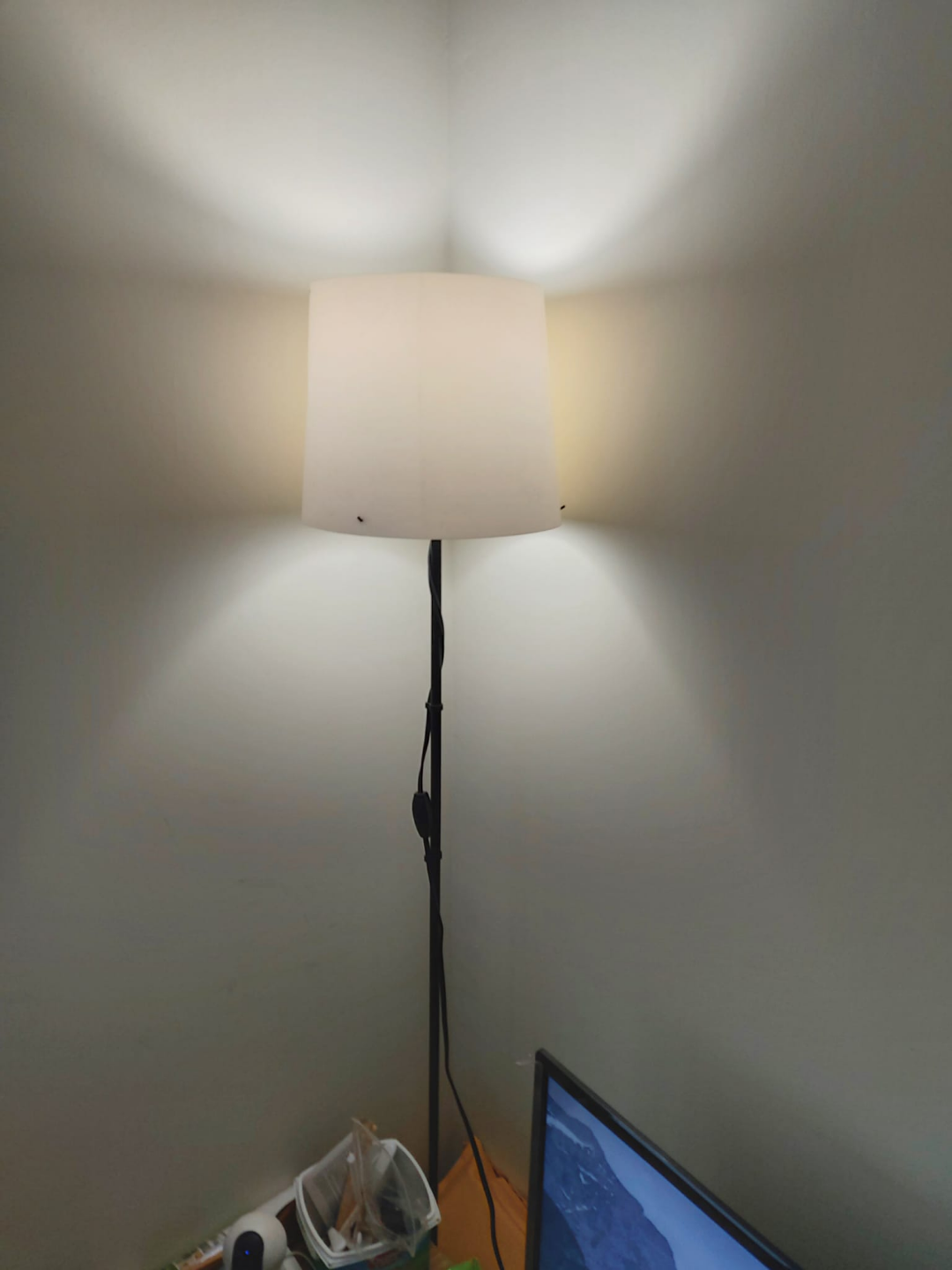 Black Floor Lamp with Two Lights - photo 2