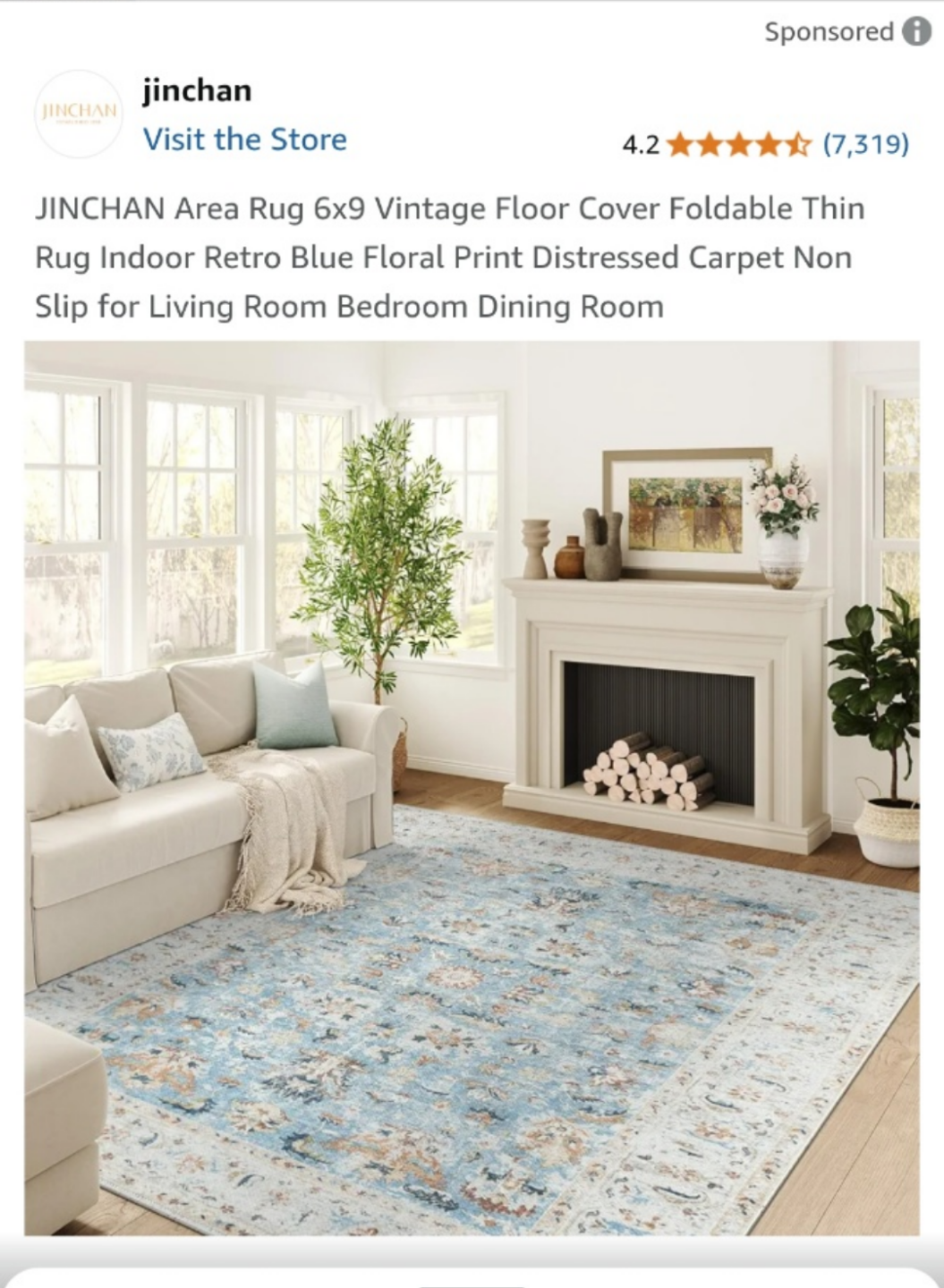 JINCHAN 6x9 Area Rug, Vintage Floral Print, Low Pile