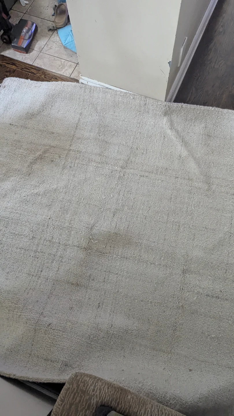 white Shag Rug image indicator(4)