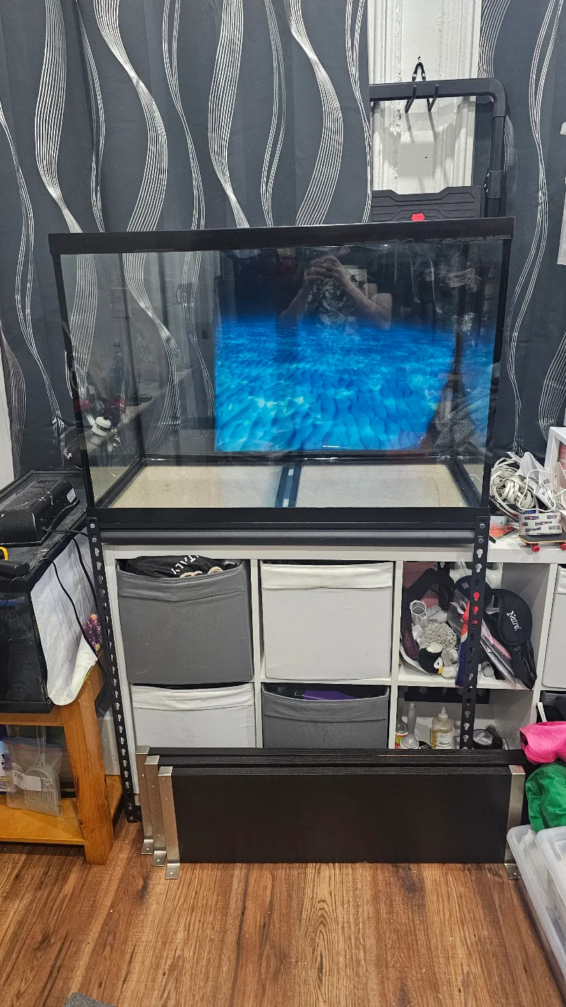 65 Gallon Aquarium Great condition. Tank Only. No Stand. thumbnail