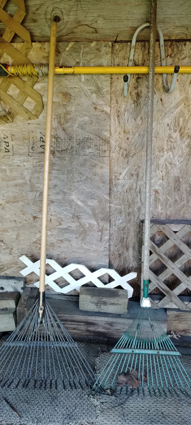 Two Metal Leaf Rakes image indicator(2)