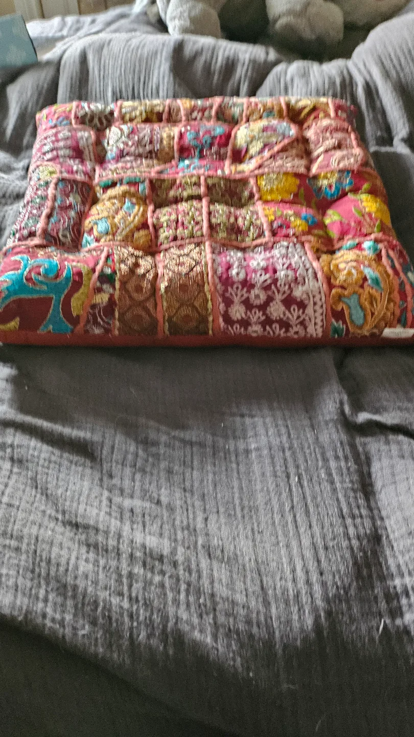 Embroidered Indian Floor Cushion image indicator(2)