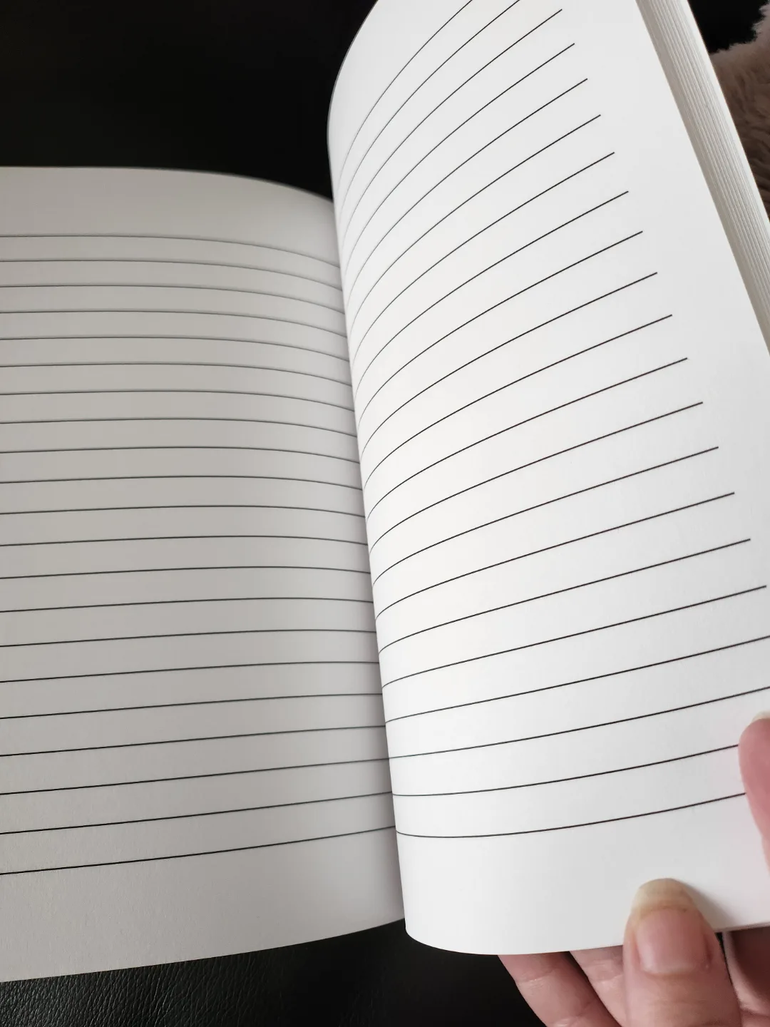 Cookie Run Kingdom Notebook image indicator(3)