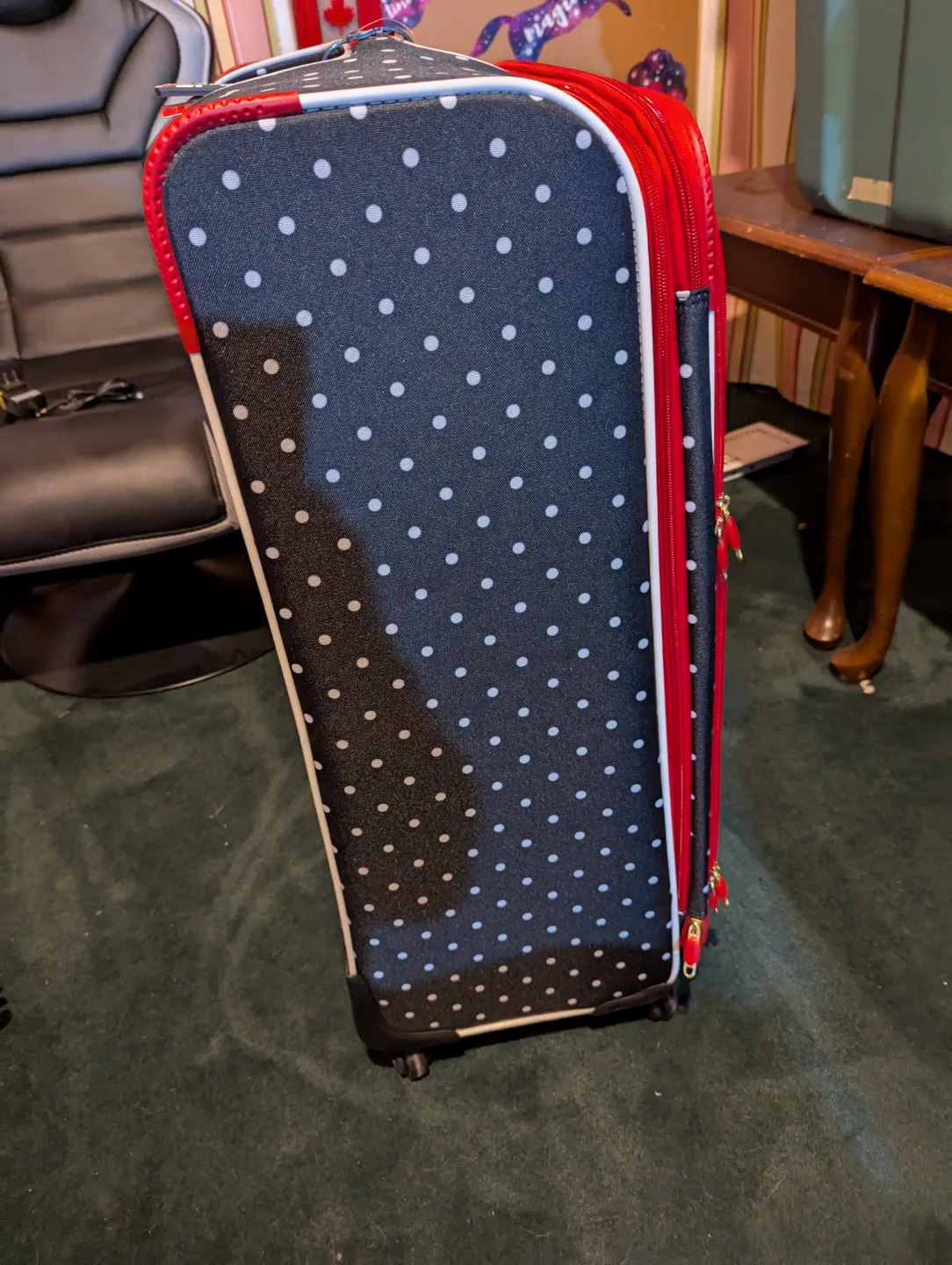 NEW Minnie Mouse Luggage image indicator(6)