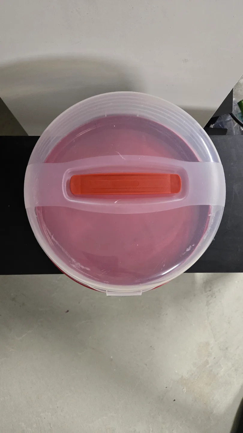 Cake Travel Carrier with Clear Lid image indicator(2)