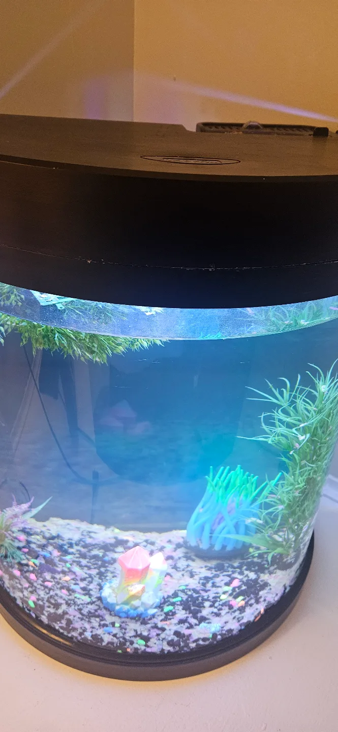 Half Circle Aquarium with LED Lighting, Filter, Heater ect image indicator(2)