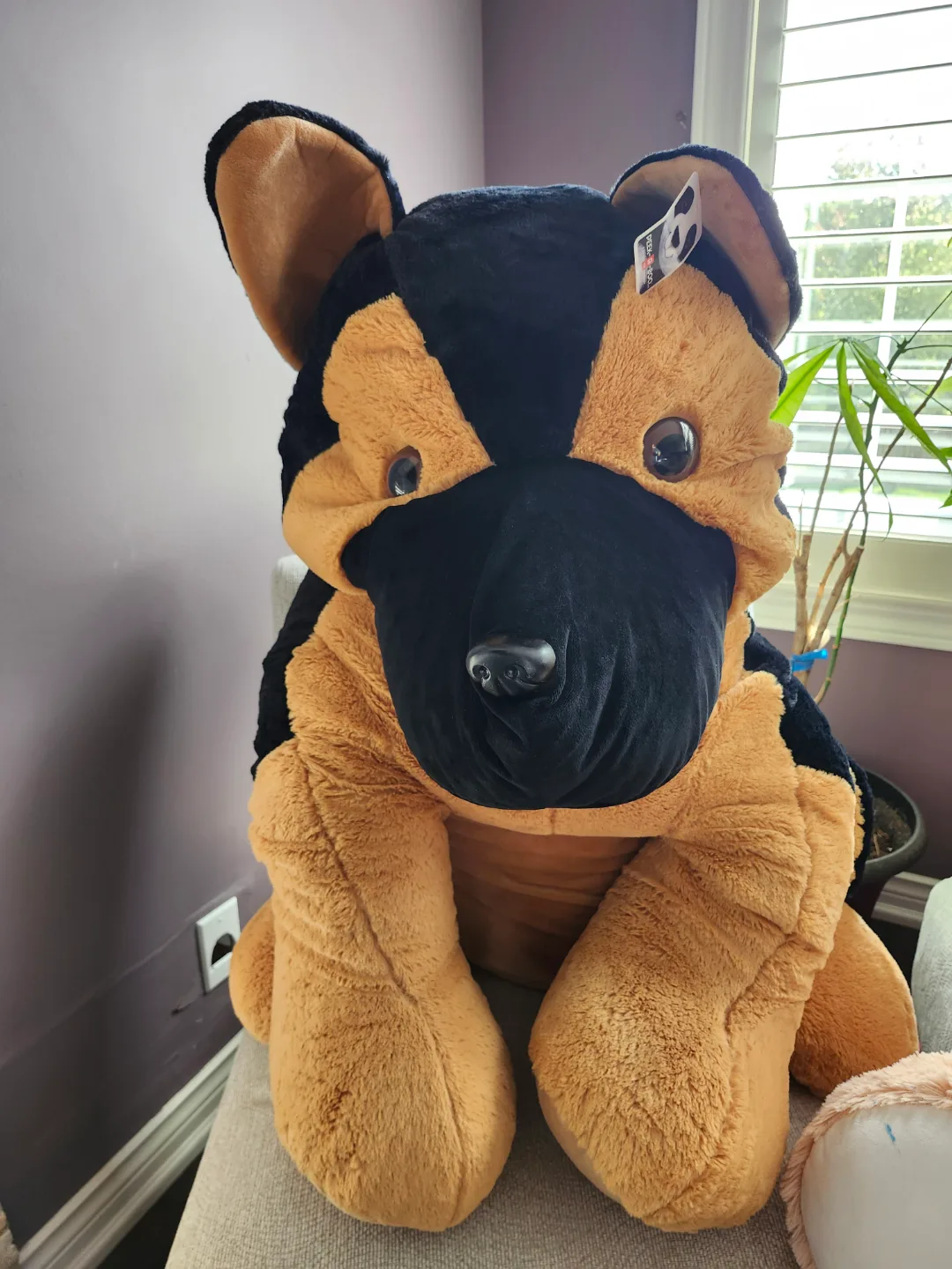 Giant Plush Dog thumbnail