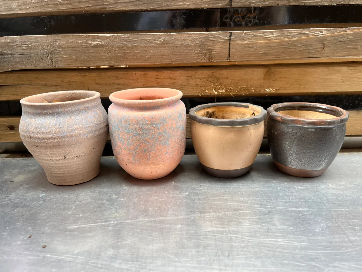 Succulent pots mini image indicator(3)