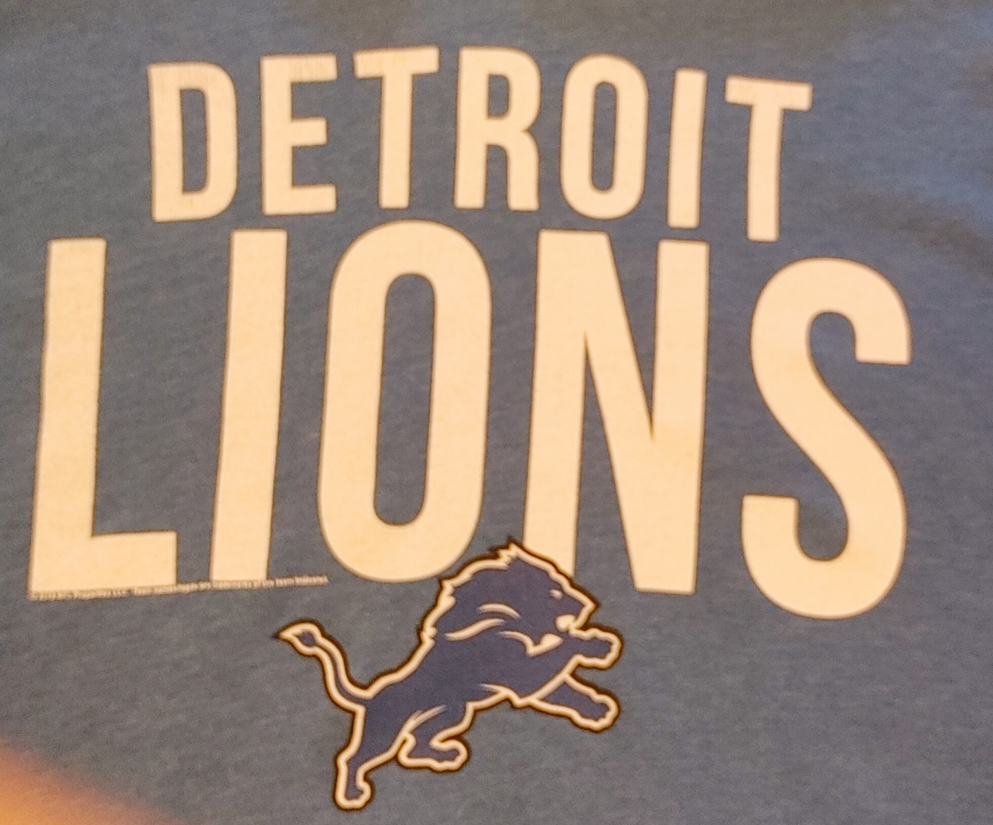 Detroit Lions Hoodie Sweatshirt - photo 3