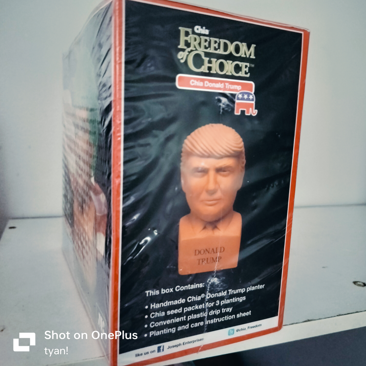 Chia Freedom of Choice Donald Trump Planter - New in Box - photo 2