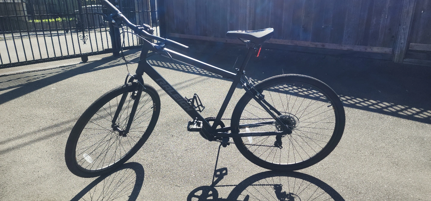 Raleigh Entourage Bikes – Adult Hybrid Bicycle Karrot