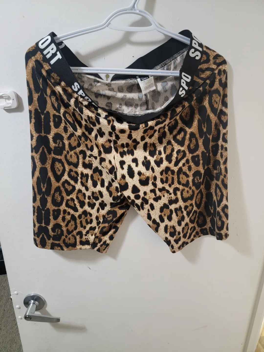 Leopard Print Sport Shorts thumbnail