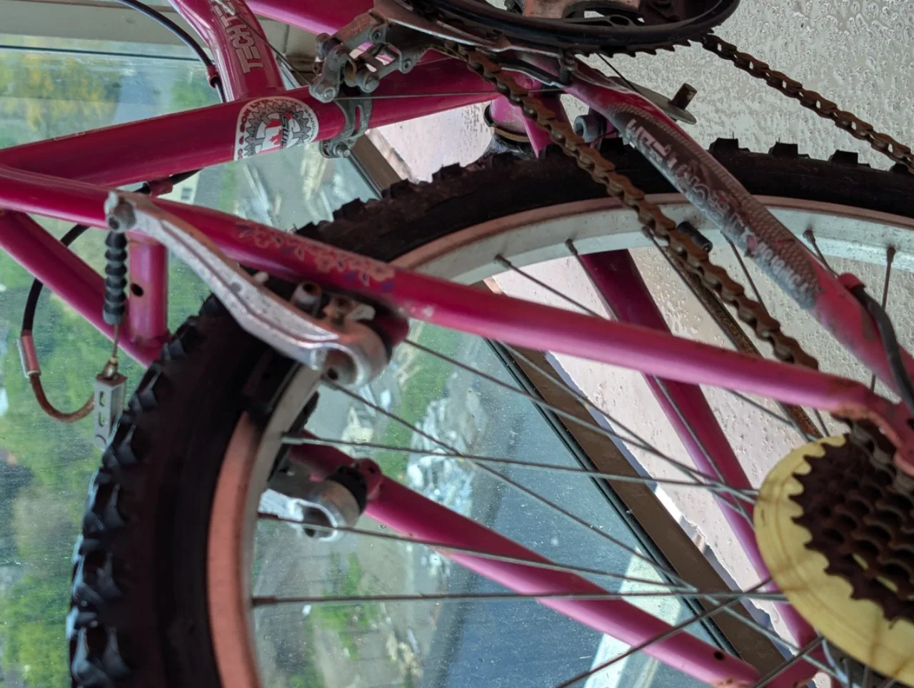 Girls' Tech Team 21-Speed Pink Mountain Bike image indicator(4)